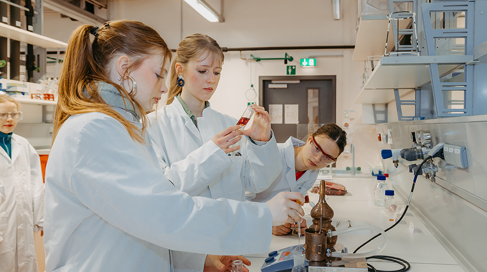 /unimagdeburg_media/Presse/Bilder/Pressemitteilungen/2026/Studieren+praktisch+ausprobieren+_+Jugendliche+erhalten+Einblicke+in+Labore_+Ho%CC%88rsa%CC%88le+und+Studienalltag+an+der+Universita%CC%88t+Magdeburg+bei+der+Herbstuni+%28c%29+Jana+Du%CC%88nnhaupt_Uni+Magdeburg-height-560-width-1000-p-146014.jpg